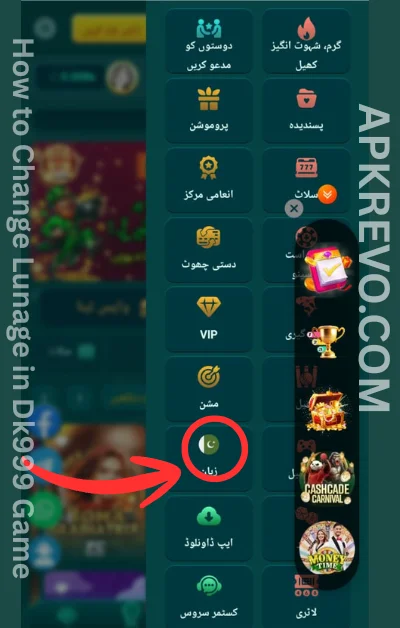 Dk999 language section