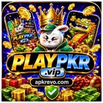 Play PKR FI